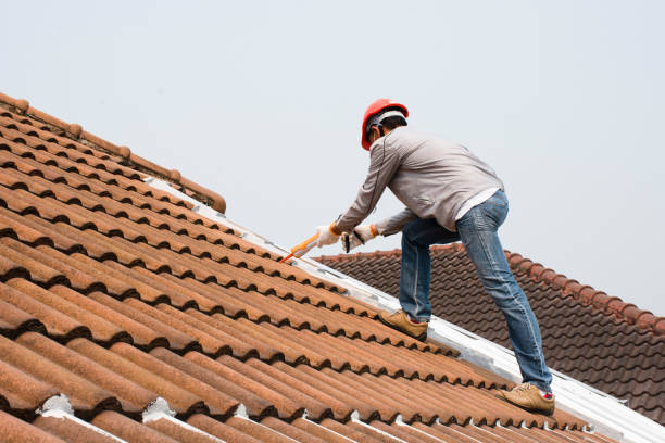 Best Roof Leak Repair  in Clearlake Oaks, CA
